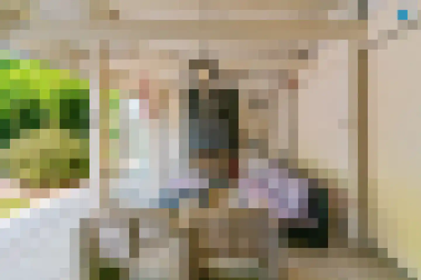 Postgalei 21 Wognum thumbnail 32