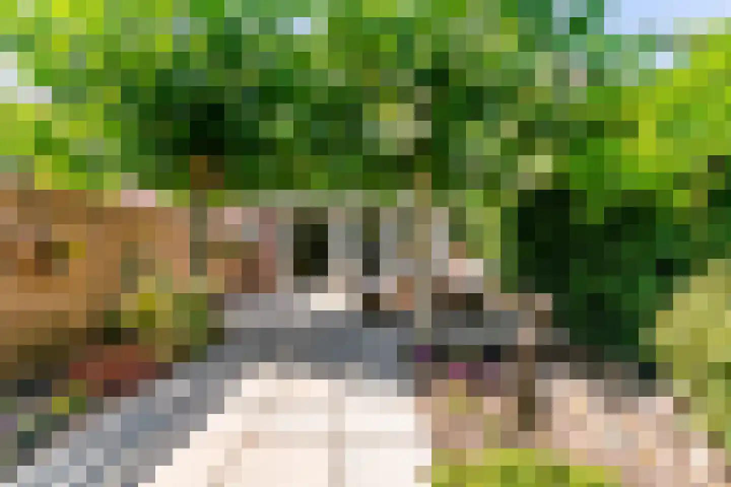 Postgalei 21 Wognum thumbnail 34