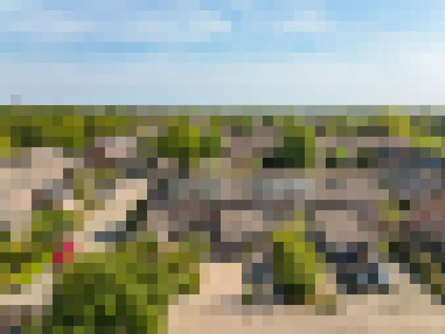 Postgalei 21 Wognum thumbnail 36
