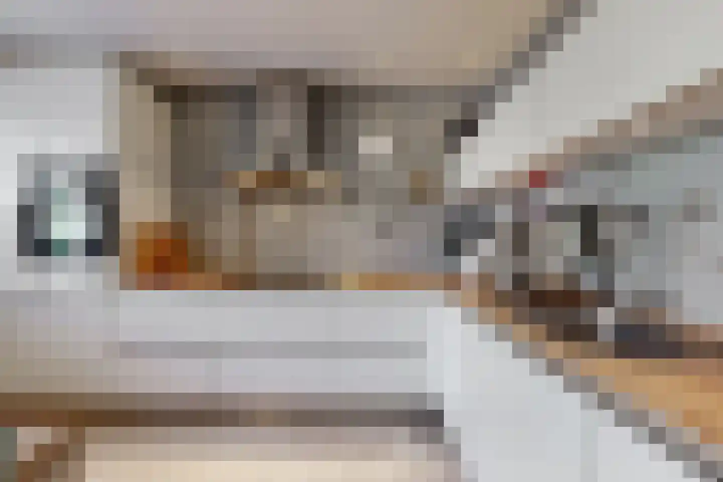 Postgalei 21 Wognum thumbnail 4