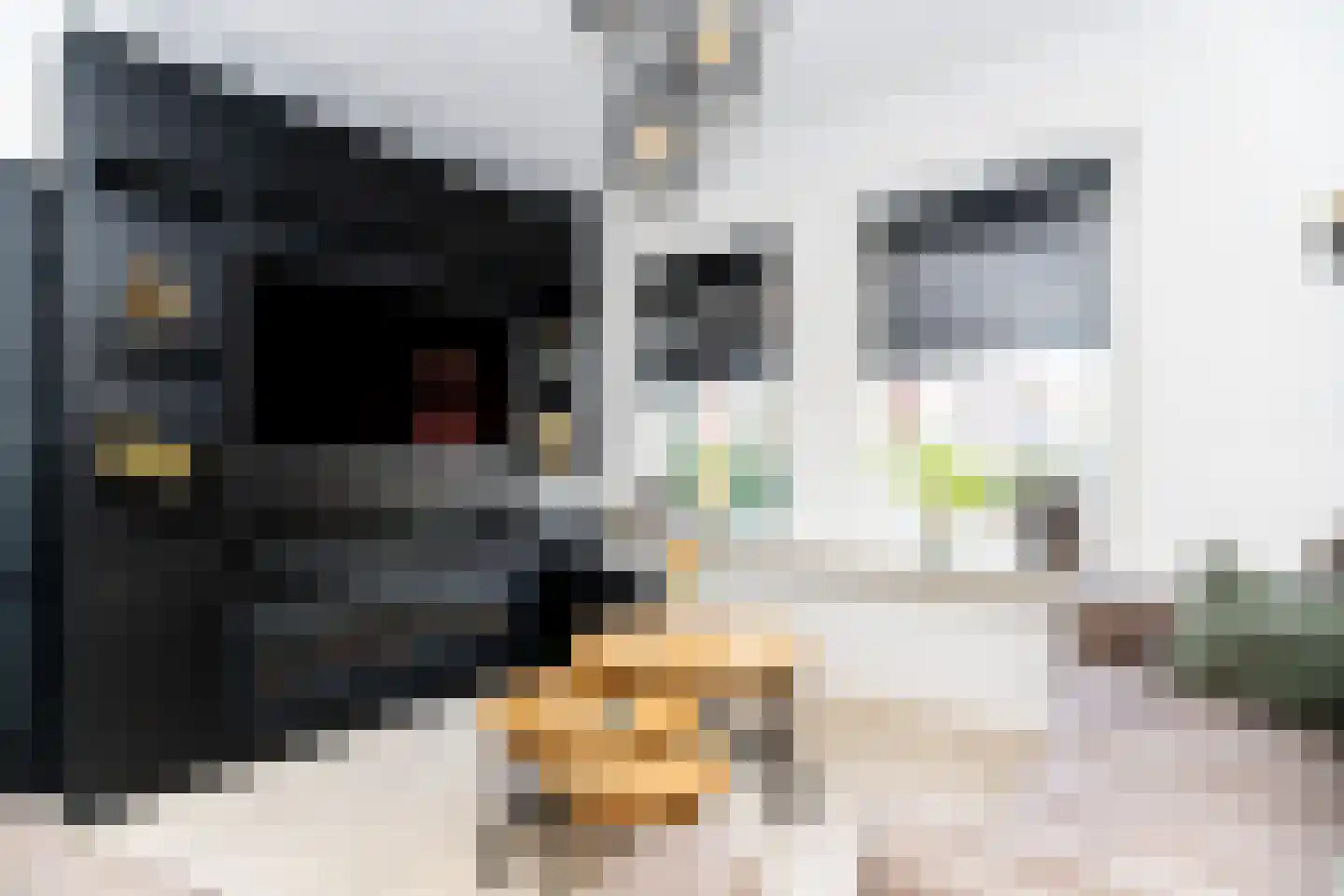 Postgalei 31 Wognum thumbnail 15