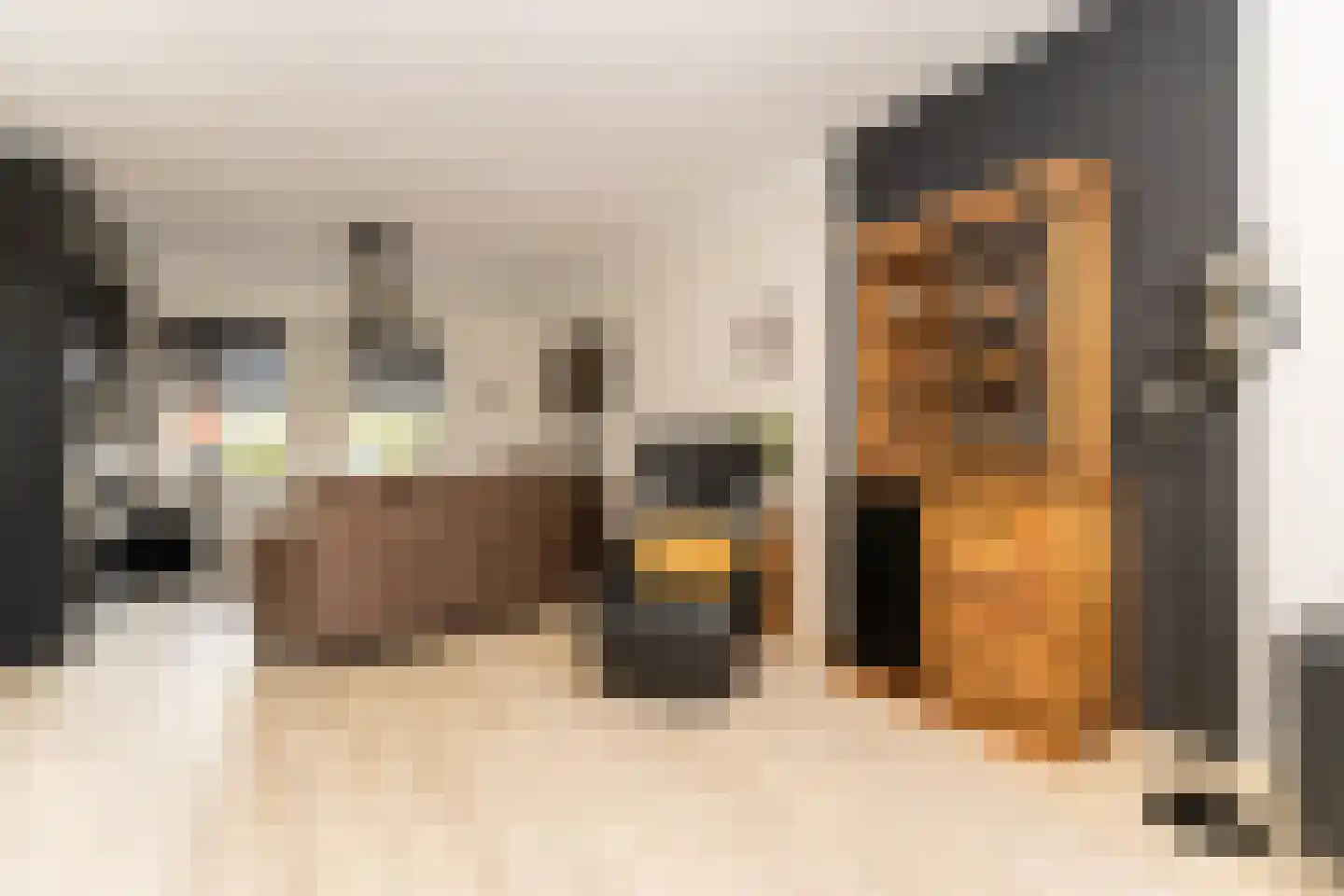 Postgalei 31 Wognum thumbnail 17
