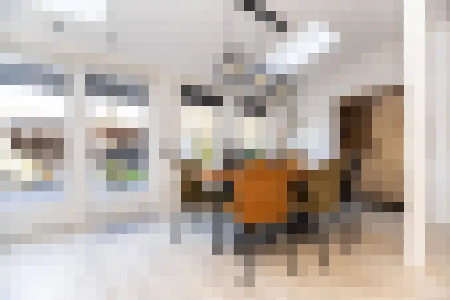 Postgalei 31 Wognum thumbnail 21