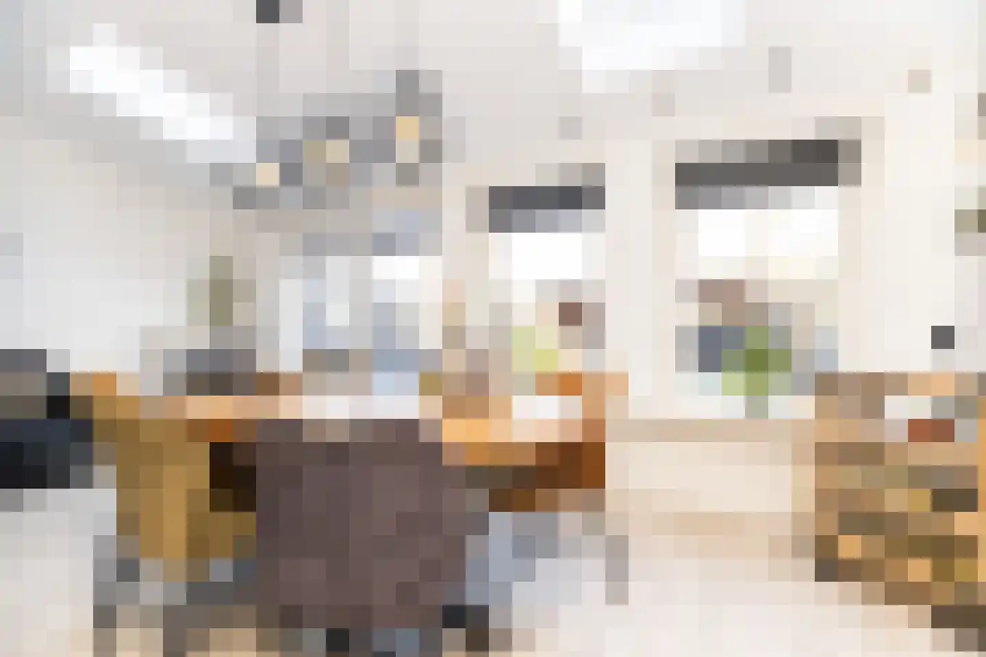 Postgalei 31 Wognum thumbnail 22