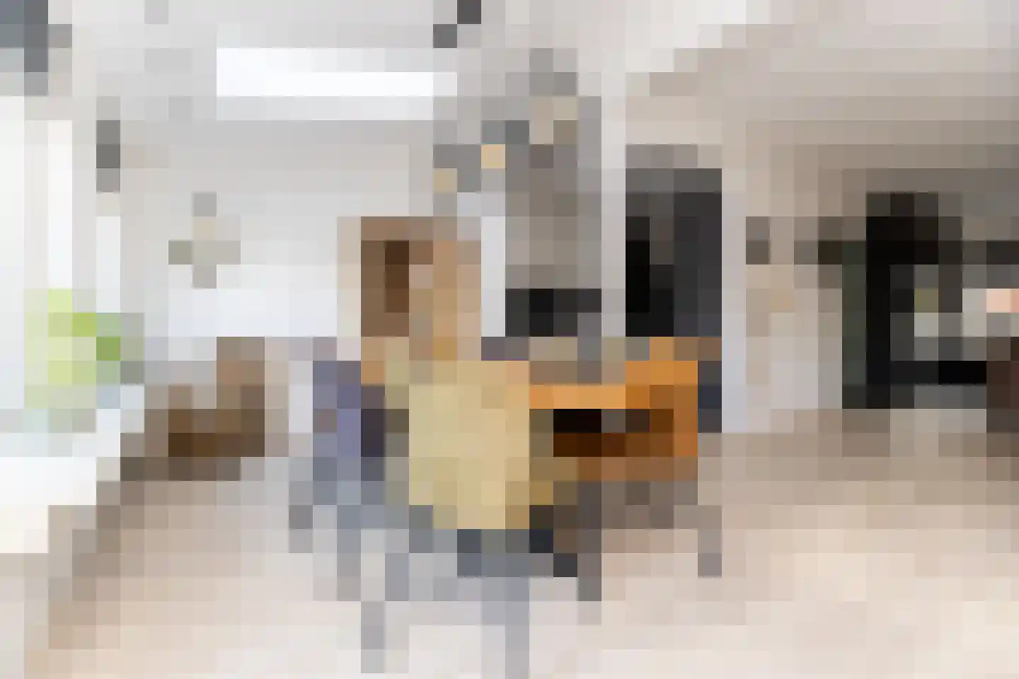 Postgalei 31 Wognum thumbnail 23