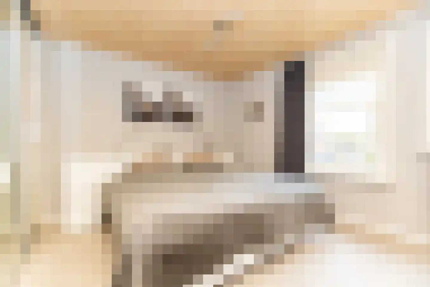 Postgalei 31 Wognum thumbnail 30