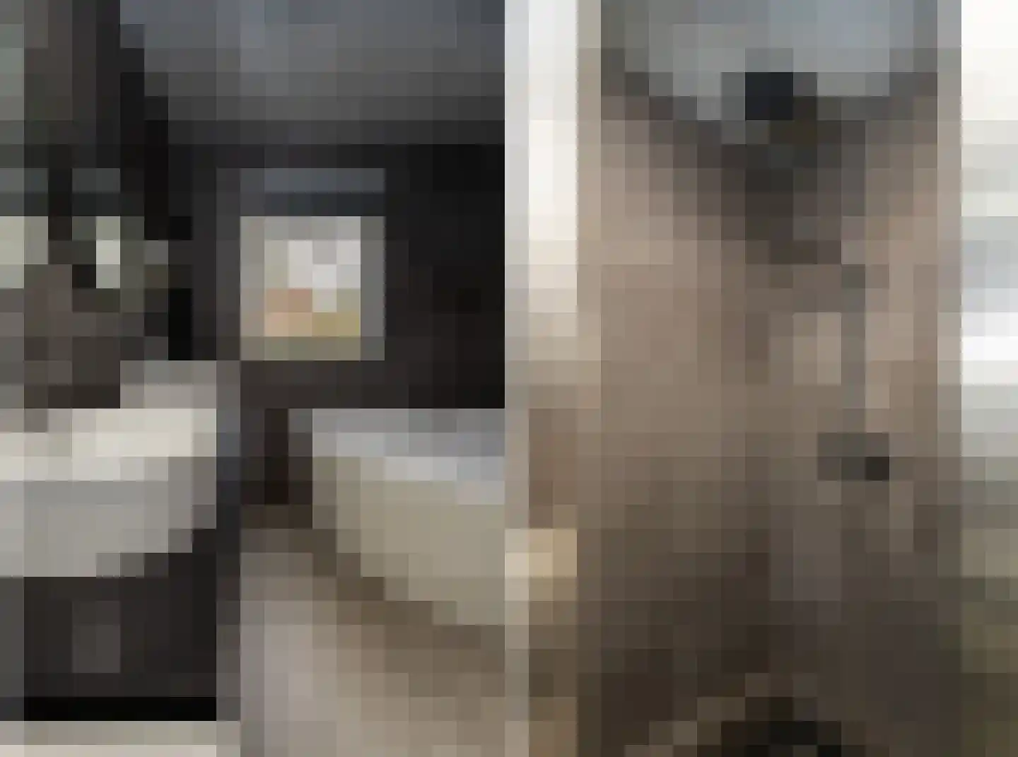 Postgalei 31 Wognum thumbnail 4