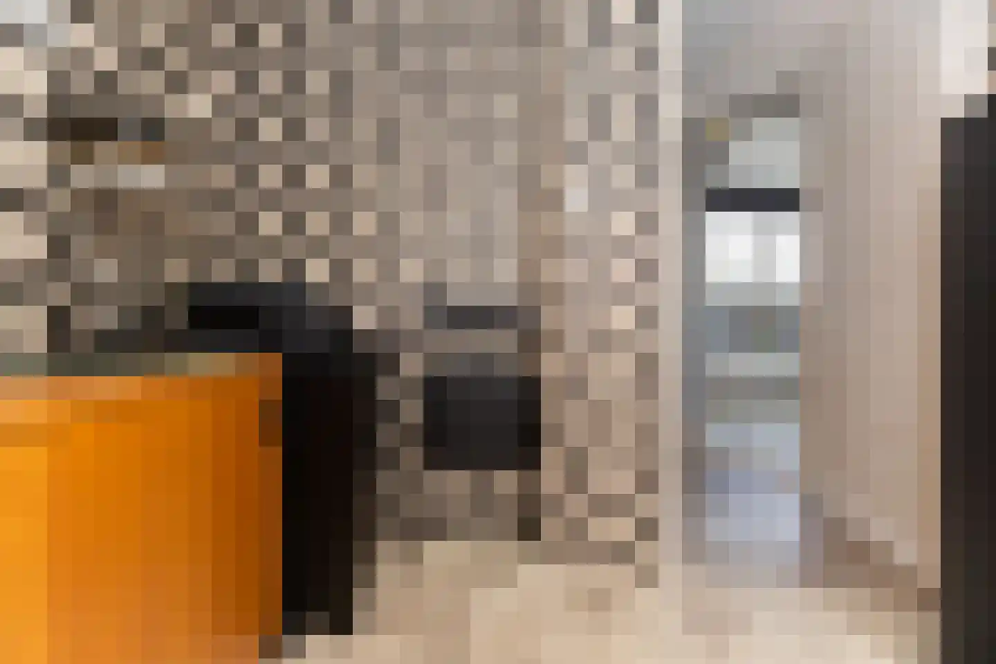 Postgalei 31 Wognum thumbnail 45