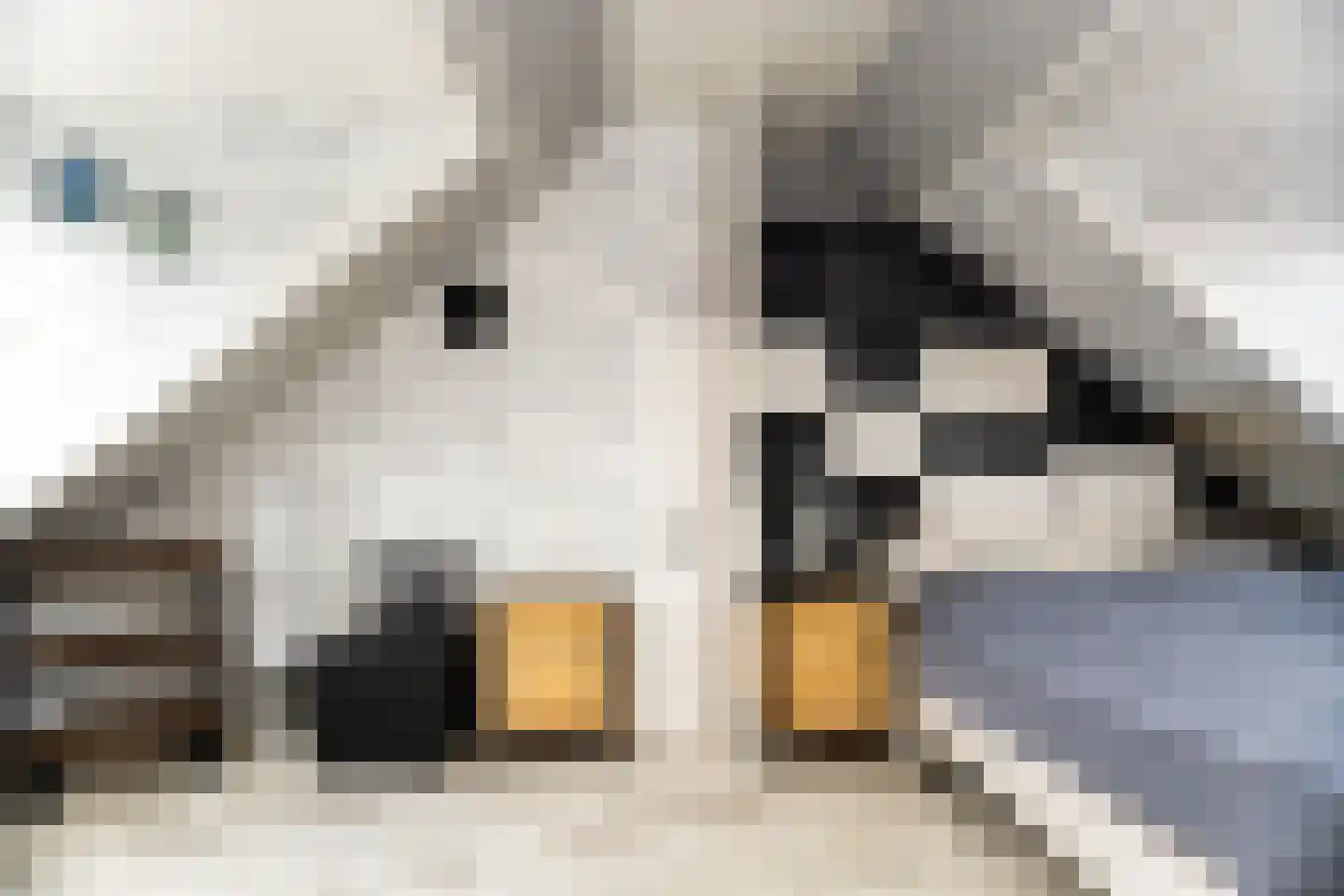 Postgalei 31 Wognum thumbnail 48