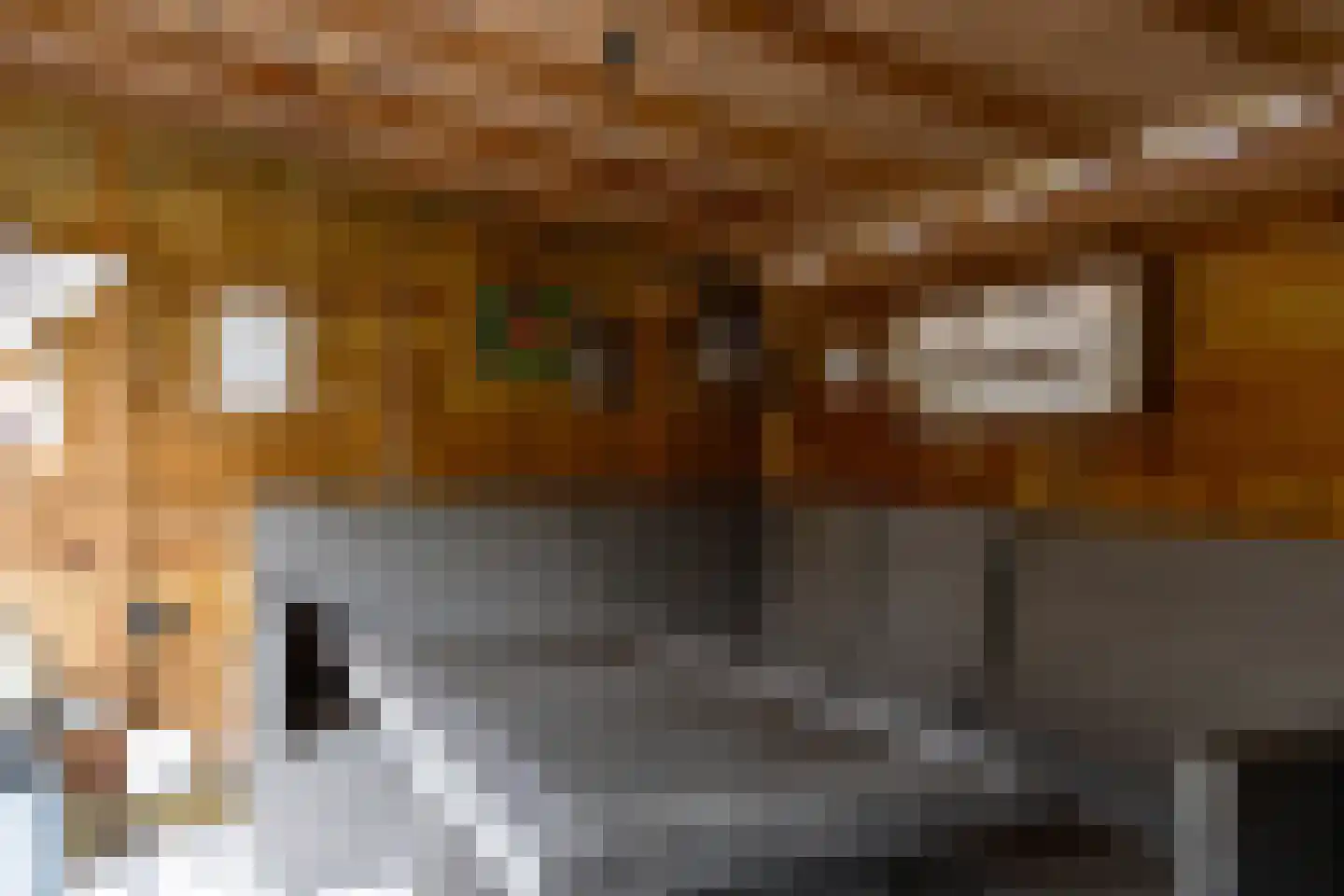 Postgalei 31 Wognum thumbnail 56