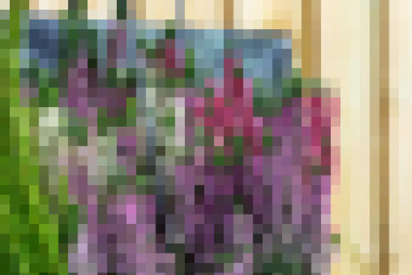 Postgalei 31 Wognum thumbnail 58