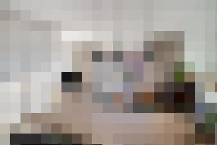 Postheuvel 19 Someren thumbnail 12