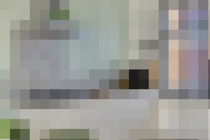 Postheuvel 19 Someren thumbnail 17
