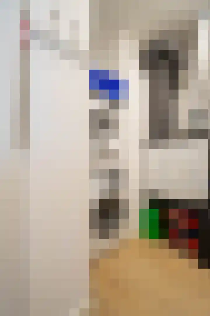 Posthoek 16 Deurne thumbnail 26