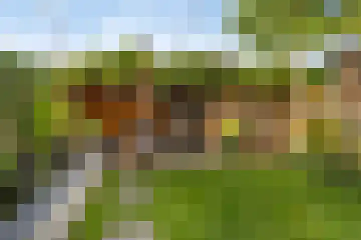 Posthoorn 11 a Luyksgestel thumbnail 24