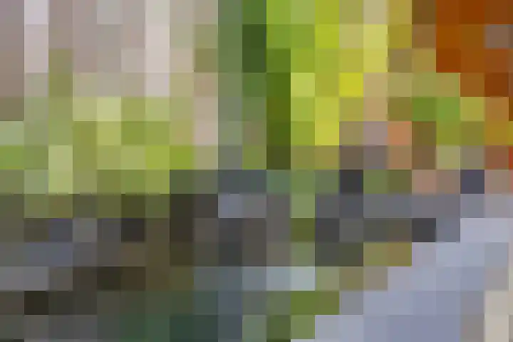 Posthoorn 11 a Luyksgestel thumbnail 26