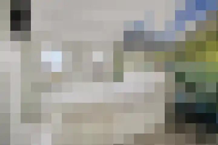 Posthoorn 11 Luyksgestel thumbnail 10