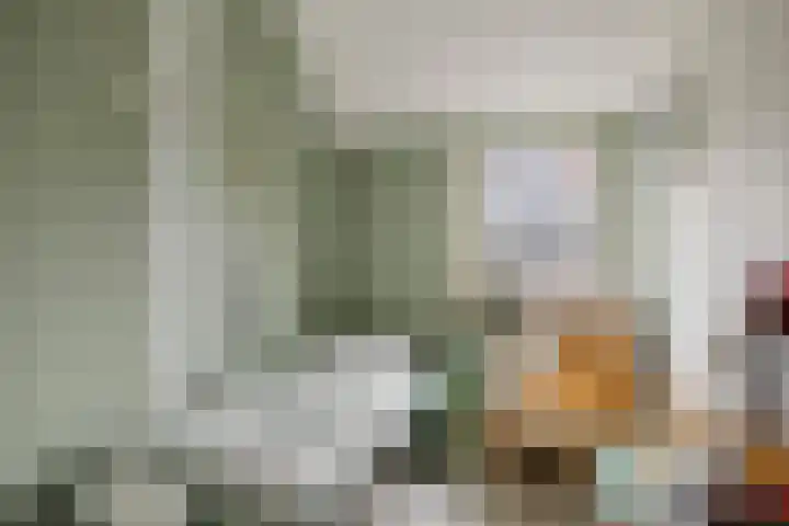 Posthoorn 11 Luyksgestel thumbnail 12