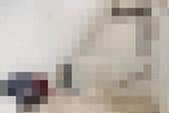 Posthoorn 11 Luyksgestel thumbnail 16