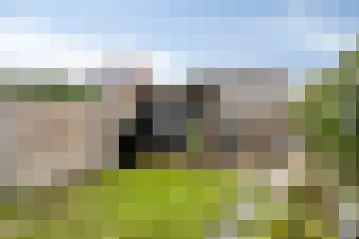 Posthoorn 11 Luyksgestel thumbnail 18