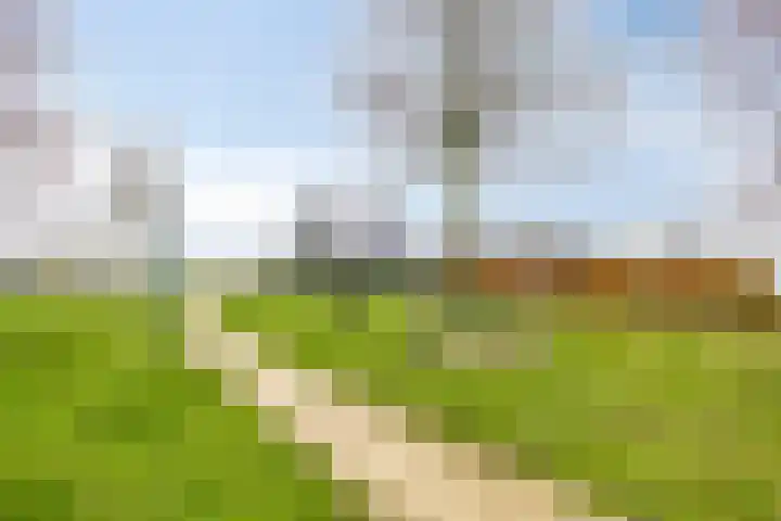 Posthoorn 11 Luyksgestel thumbnail 20