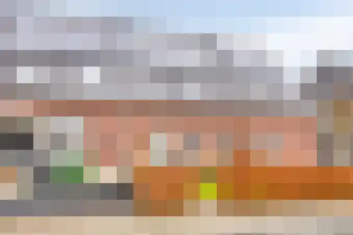 Posthoorn 11 Luyksgestel thumbnail 21