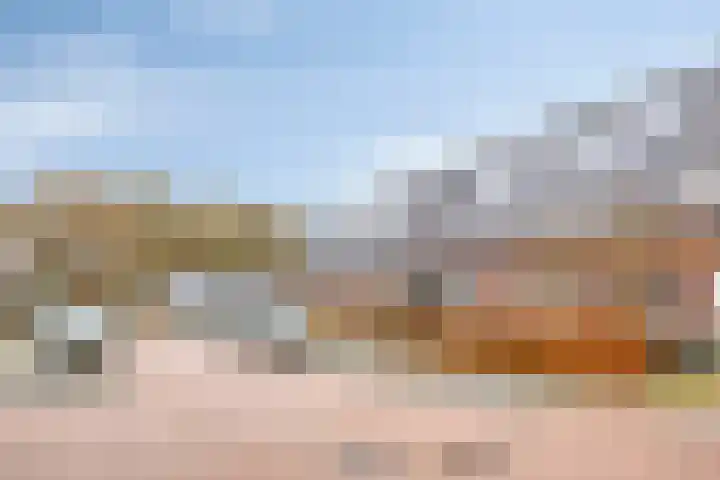 Posthoorn 11 Luyksgestel thumbnail 22