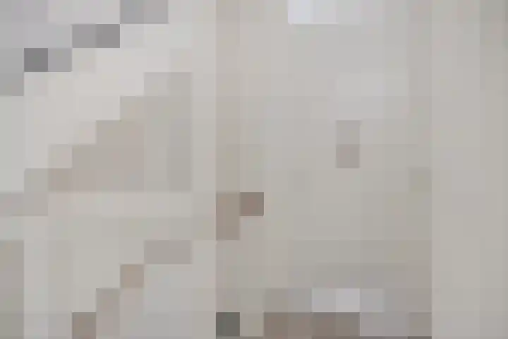 Posthoorn 11 Luyksgestel thumbnail 9
