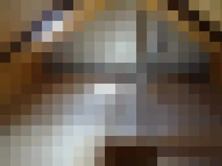 Posthoorn 15 Warmenhuizen thumbnail 24