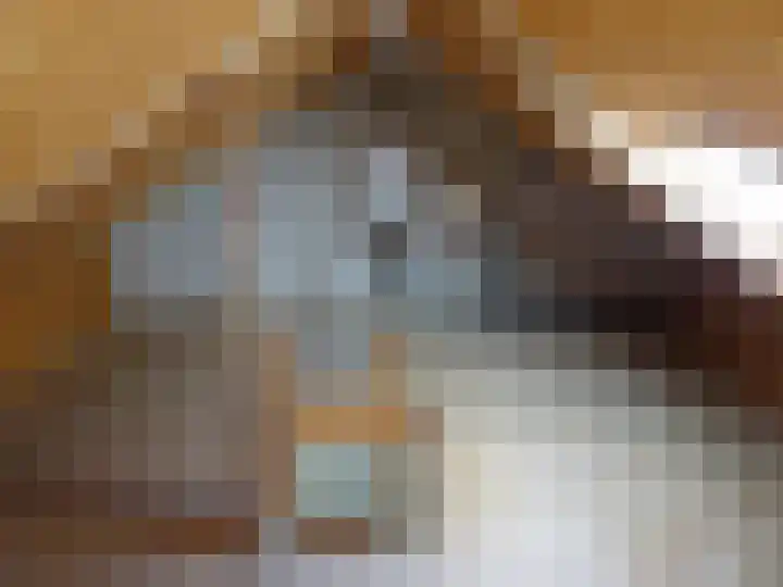 Posthoorn 15 Warmenhuizen thumbnail 25