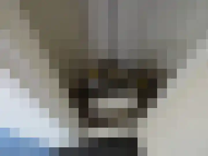 Posthoorn 15 Warmenhuizen thumbnail 28