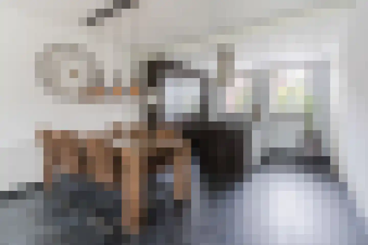 Posthoorn 17 Luyksgestel thumbnail 13