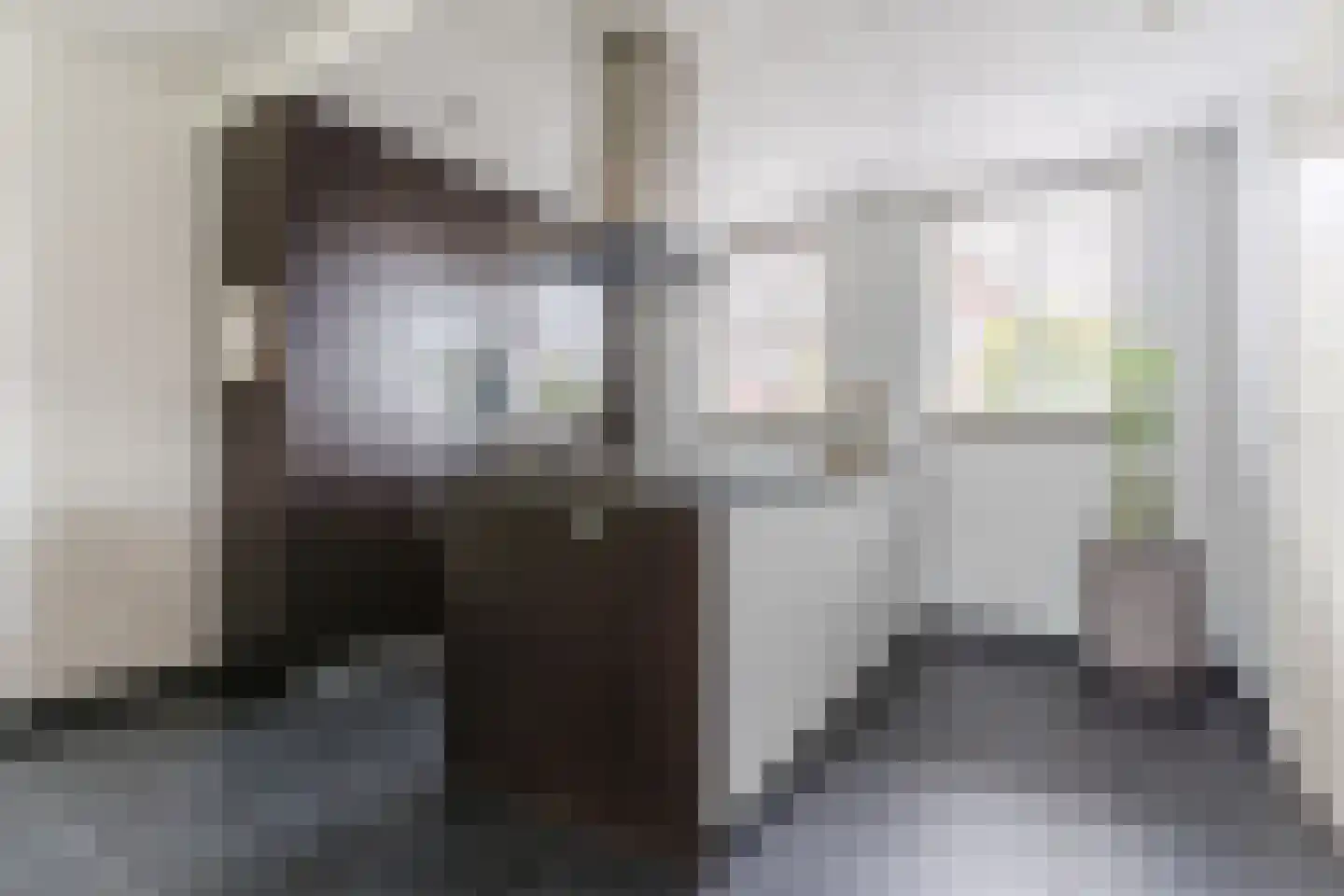 Posthoorn 17 Luyksgestel thumbnail 15