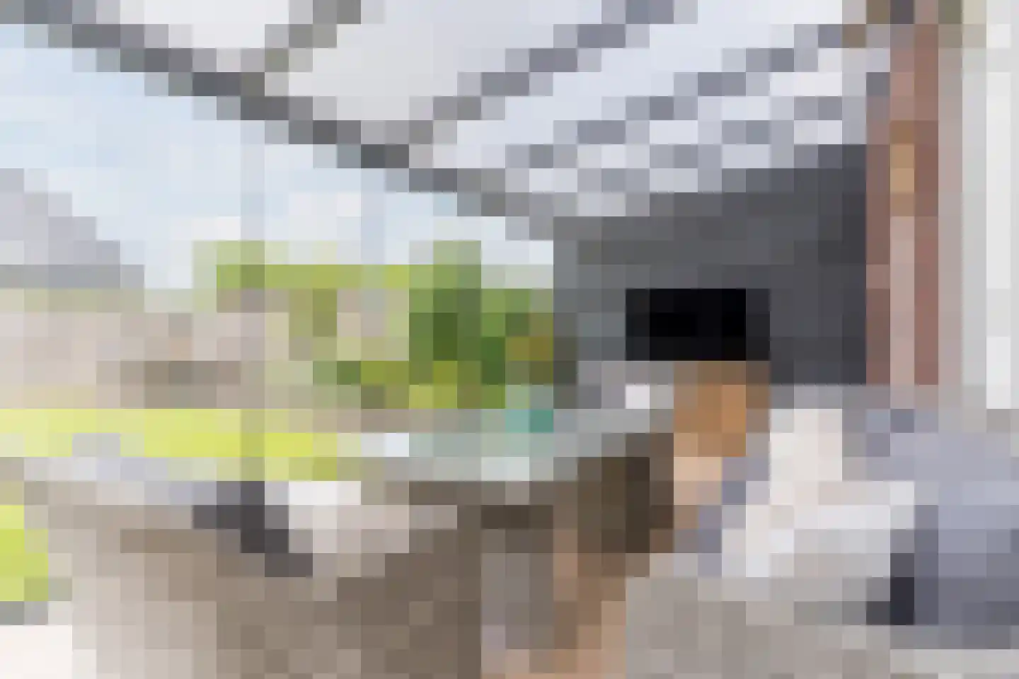 Posthoorn 17 Luyksgestel thumbnail 18