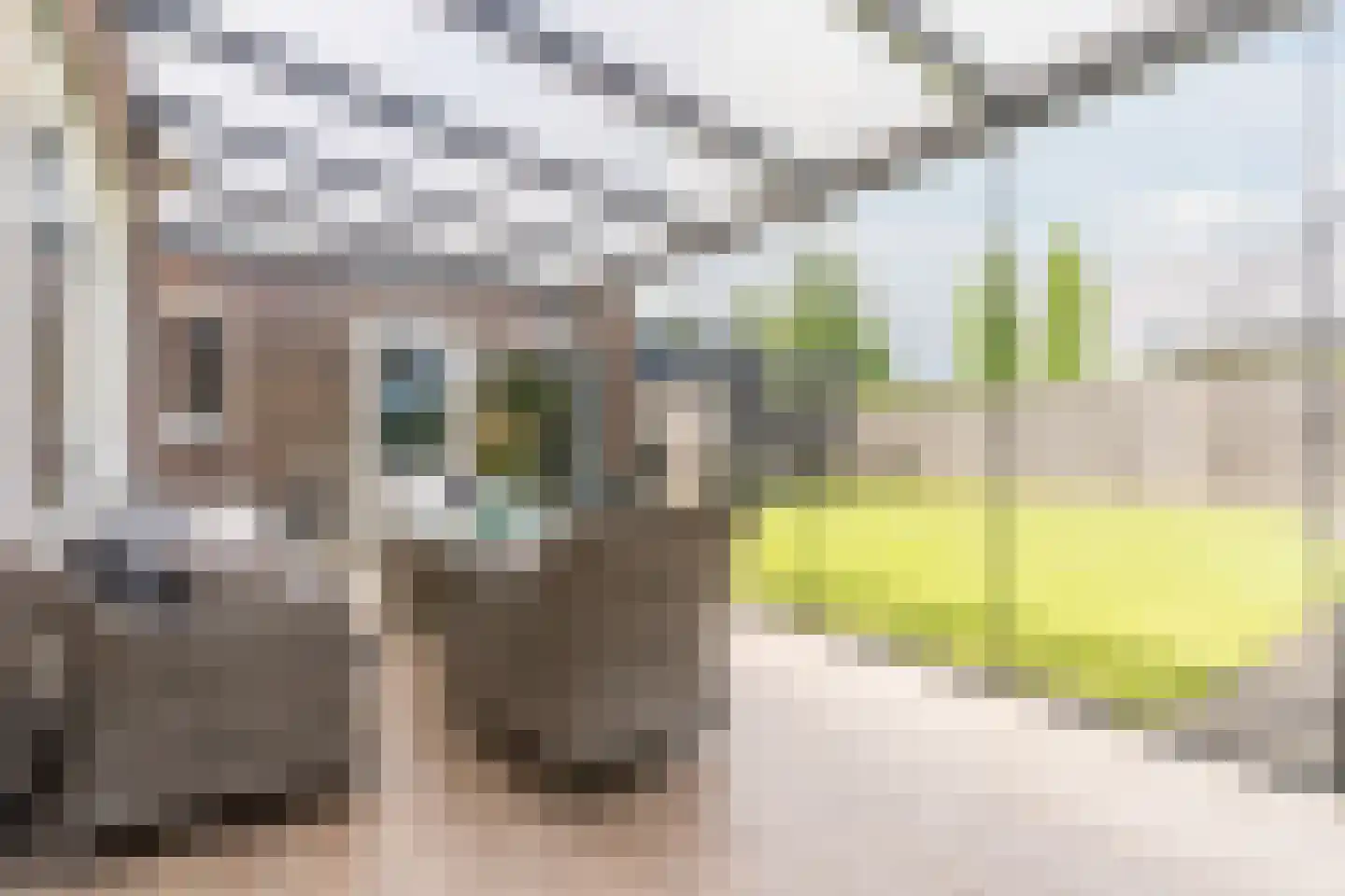 Posthoorn 17 Luyksgestel thumbnail 19