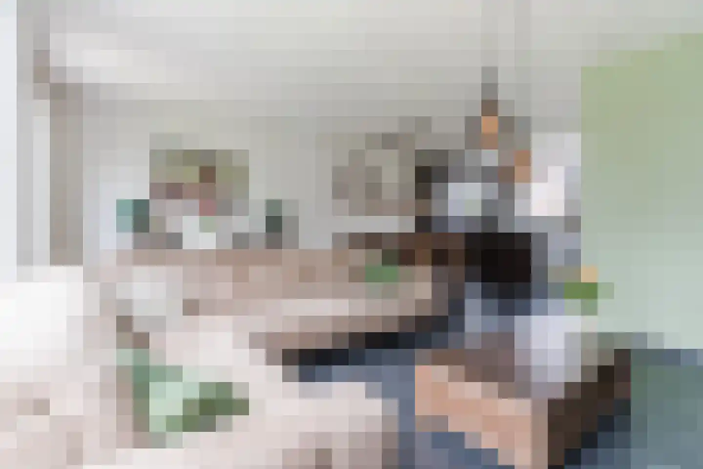 Posthoorn 17 Luyksgestel foto 2