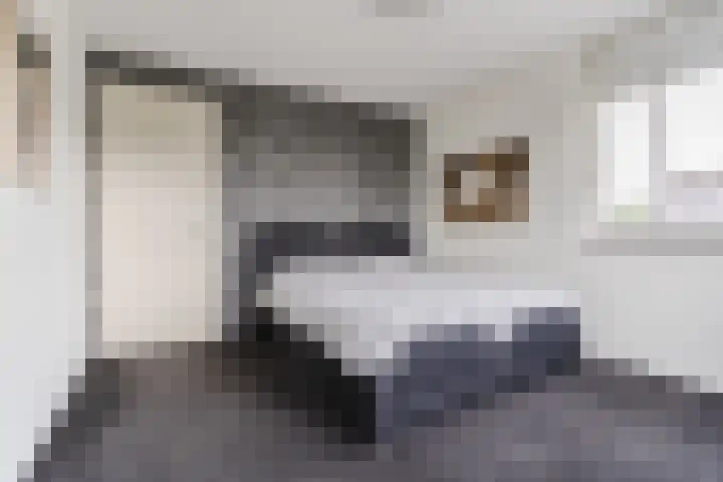 Posthoorn 17 Luyksgestel thumbnail 22