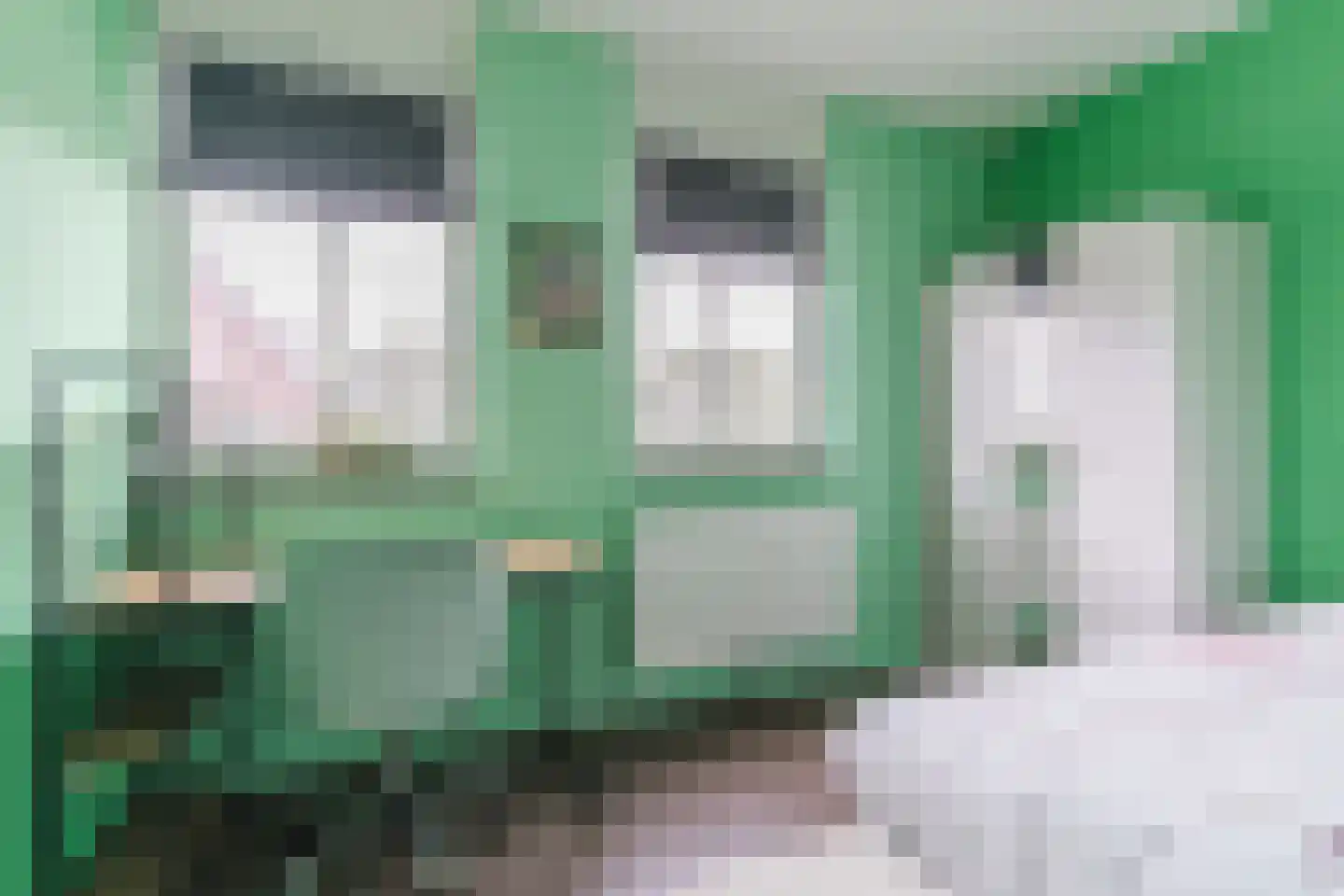 Posthoorn 17 Luyksgestel thumbnail 25