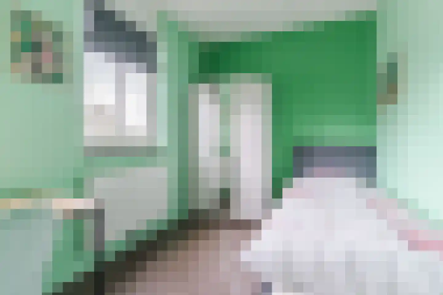 Posthoorn 17 Luyksgestel thumbnail 26
