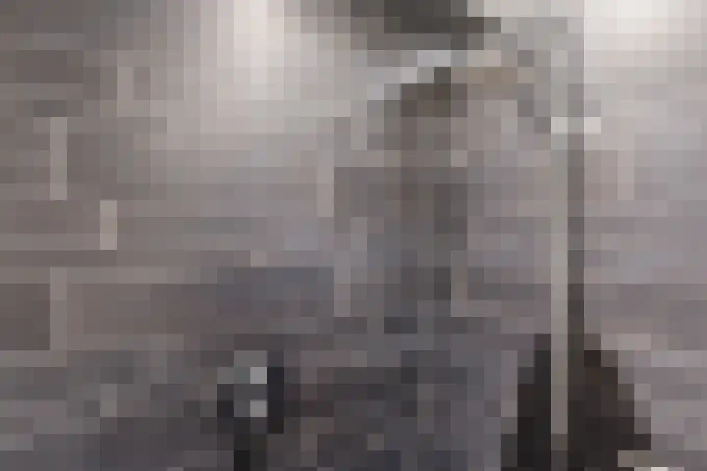 Posthoorn 17 Luyksgestel thumbnail 28
