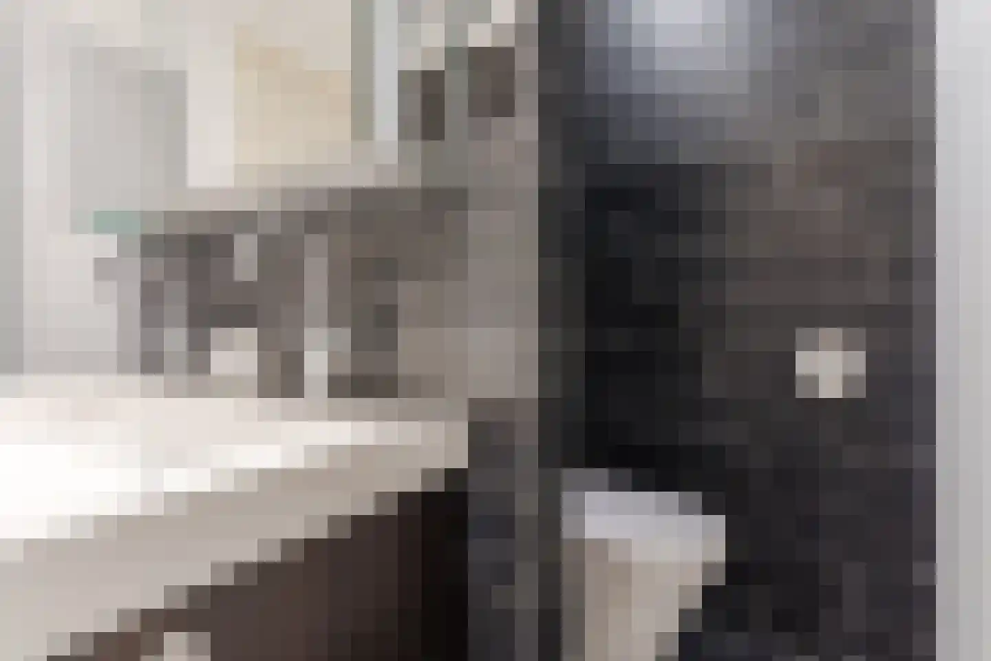 Posthoorn 17 Luyksgestel thumbnail 29