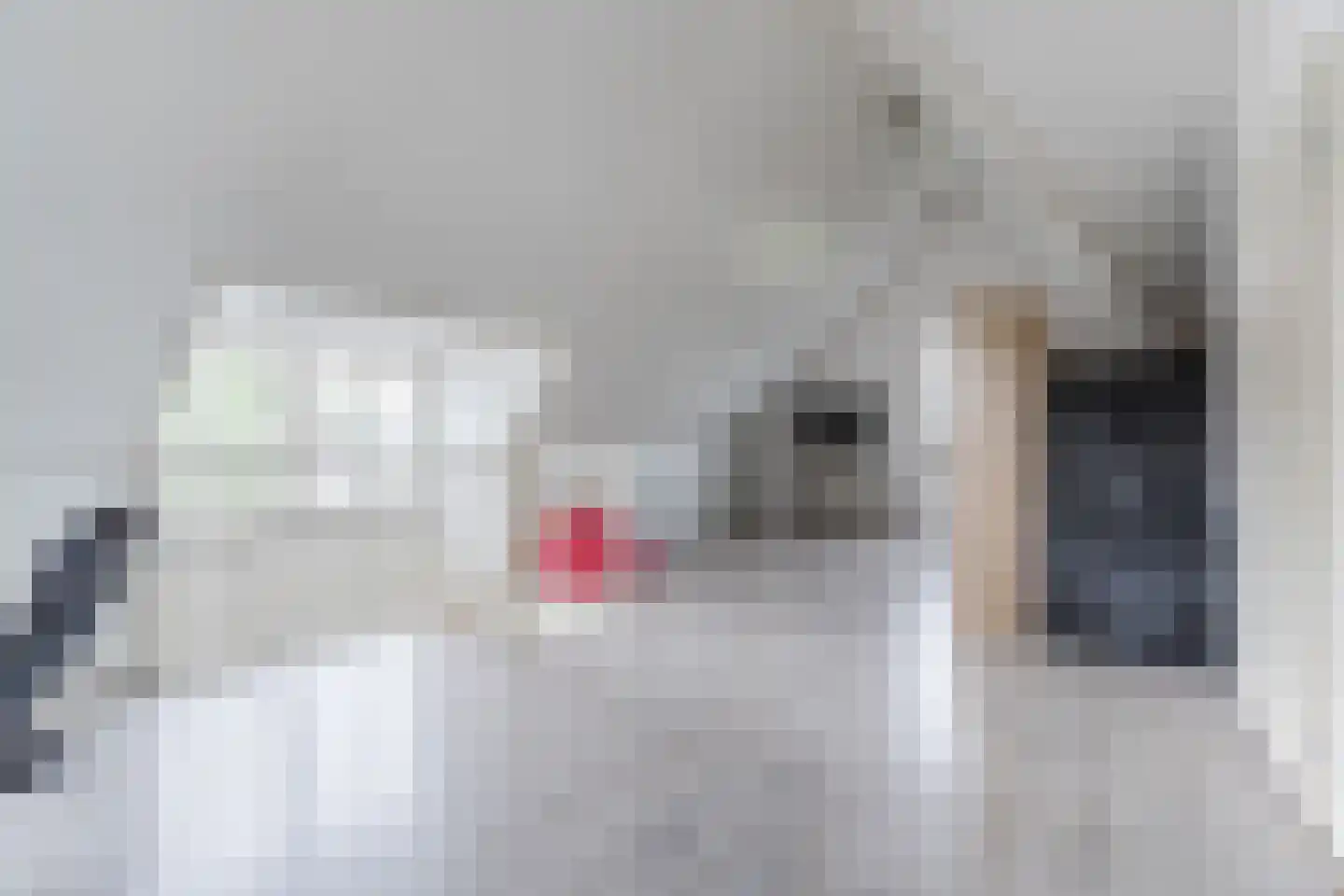 Posthoorn 17 Luyksgestel thumbnail 30