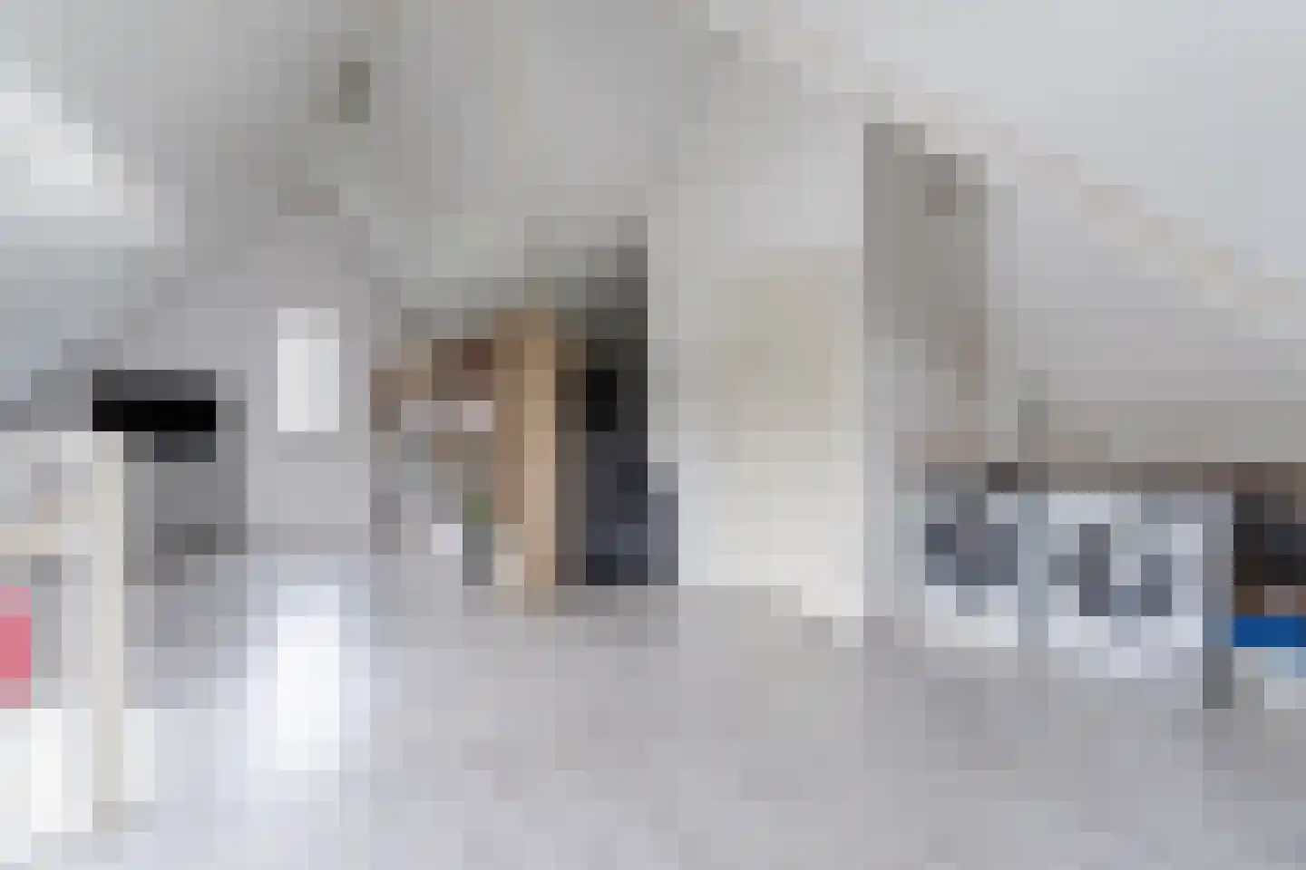 Posthoorn 17 Luyksgestel thumbnail 31
