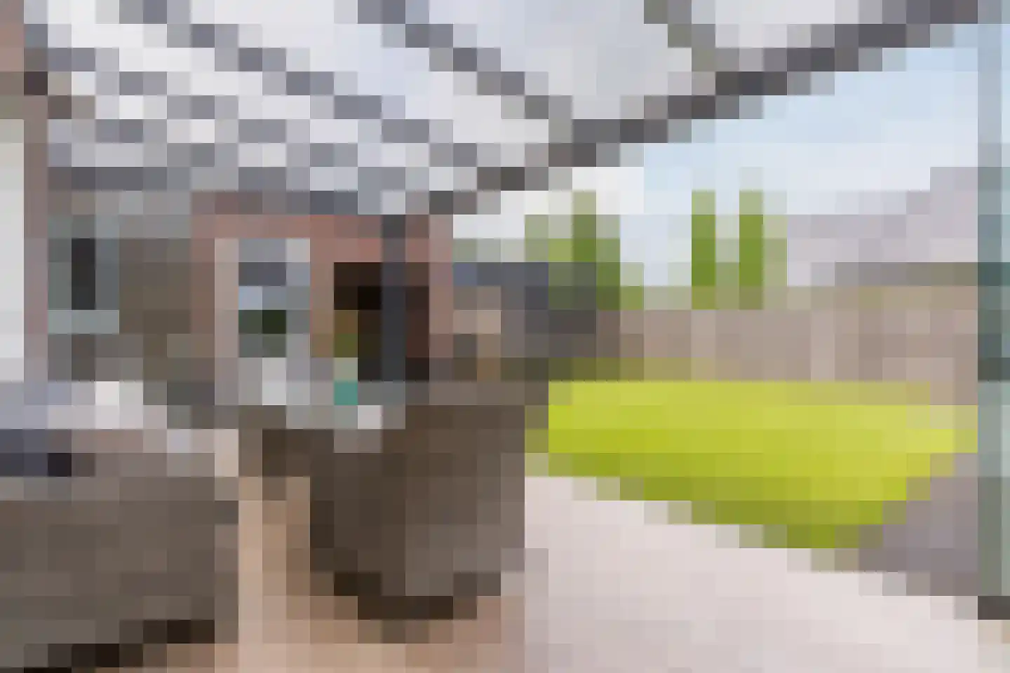 Posthoorn 17 Luyksgestel thumbnail 36