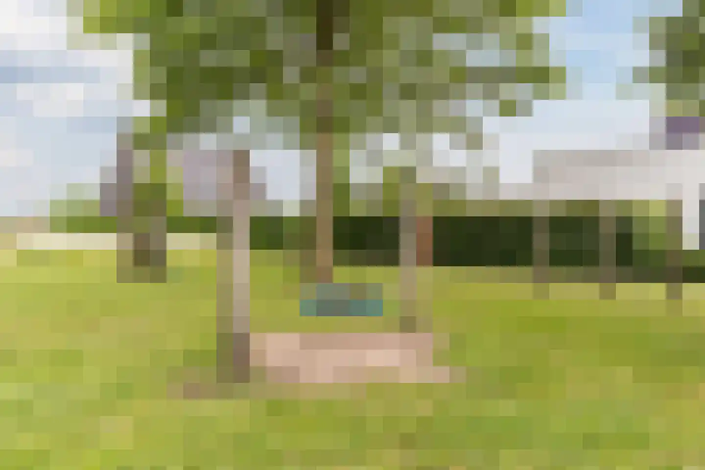 Posthoorn 17 Luyksgestel thumbnail 47