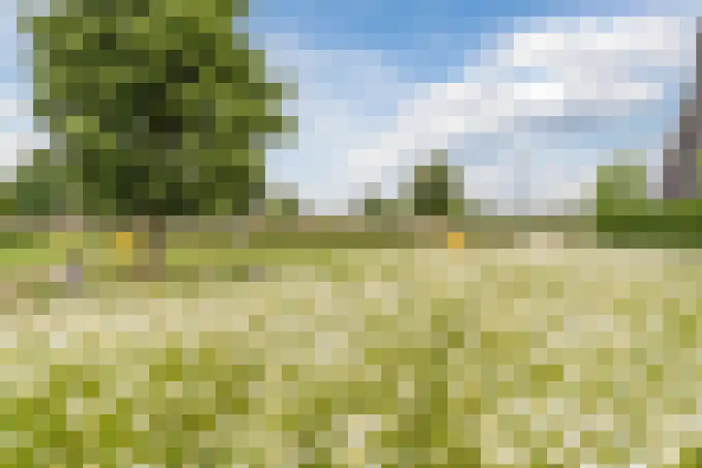 Posthoorn 17 Luyksgestel thumbnail 48