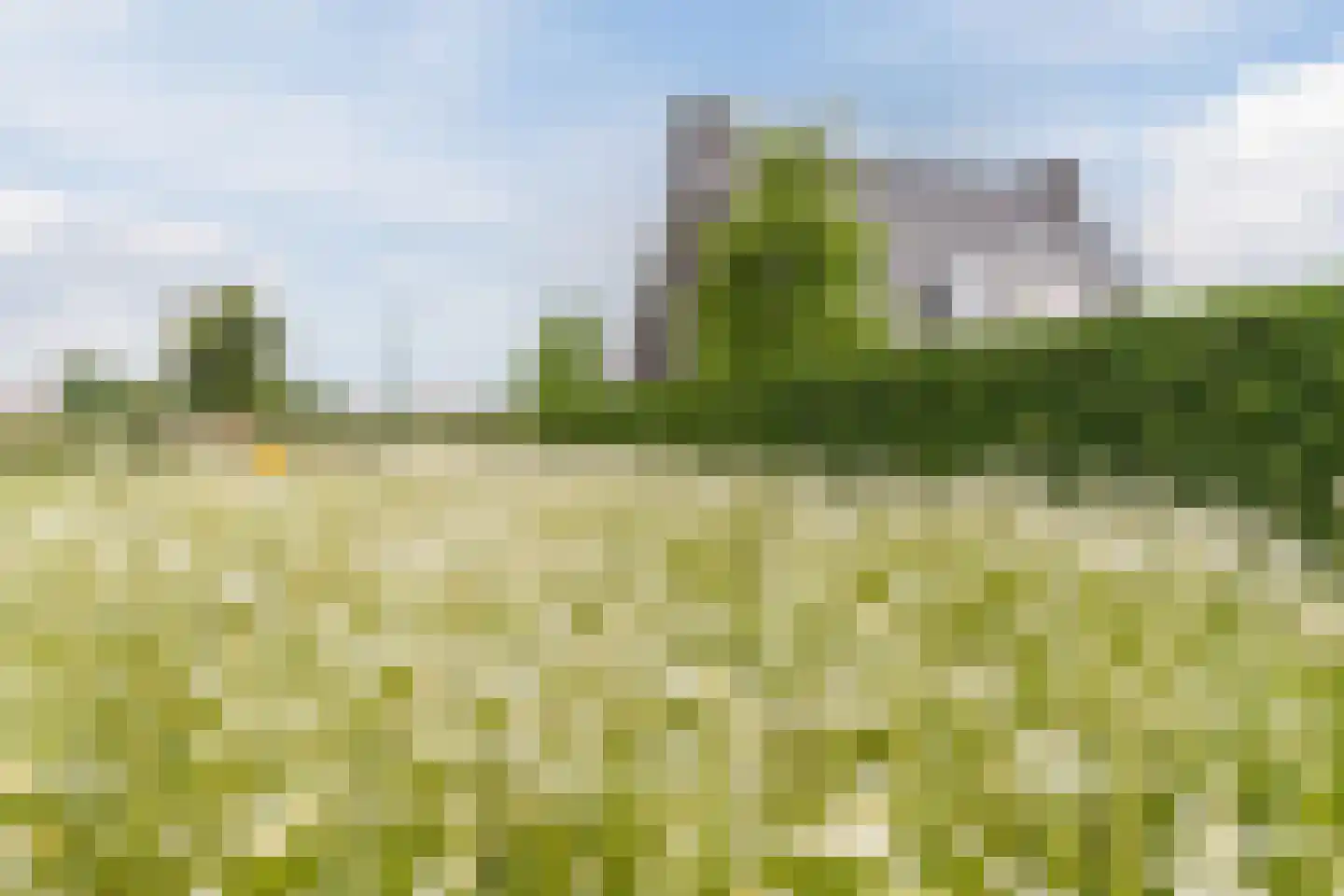 Posthoorn 17 Luyksgestel thumbnail 49