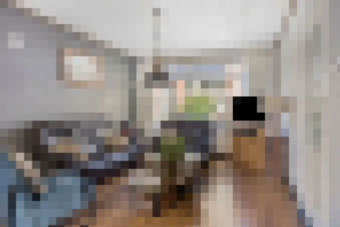 Posthoorn 25 Barger-Compascuum thumbnail 11