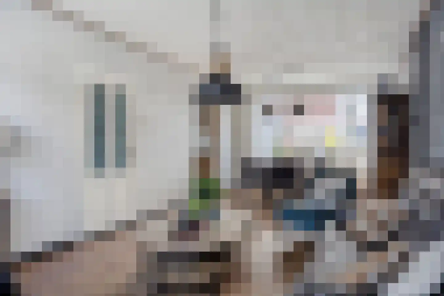 Posthoorn 25 Barger-Compascuum thumbnail 13