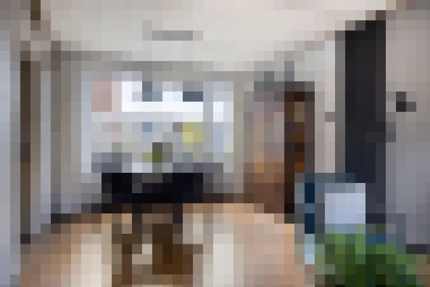 Posthoorn 25 Barger-Compascuum thumbnail 15